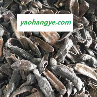水蛭个 清水吊干水蛭特级 产地 江苏省图1