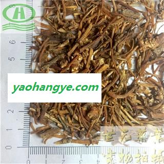 世元药业 南龙胆草 正品 别称-草龙胆 苦龙胆草 四叶胆图1