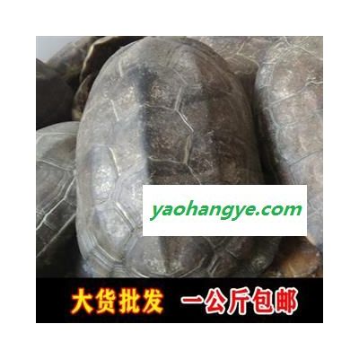 龟壳 旱龟壳 包含量 产地 浙江省