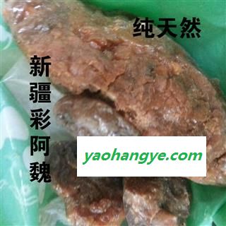 小丽百草行五彩阿魏  用途广泛图1