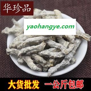 僵蚕 02 川僵蚕 选 产地 广东省图1