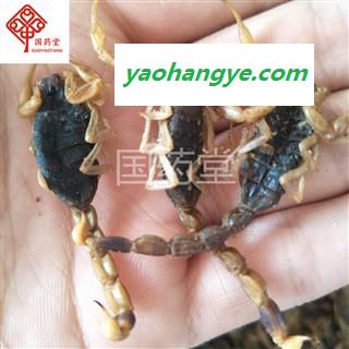 全蝎 淡盐选货 9成干 国药堂 专注品质 产地 山东省图1