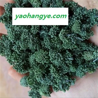 （包邮）特级文山两年三七花 文山产地直销  质量咨询15288688820图1