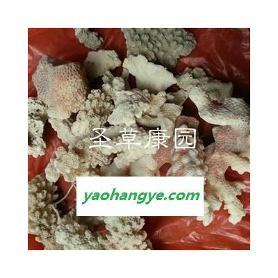 圣草康园矿石类 白珊瑚药用本品为矿石类珊瑚