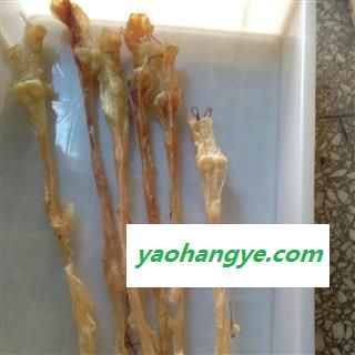 圣草康园牛筋 干牛筋整条带骨头图1