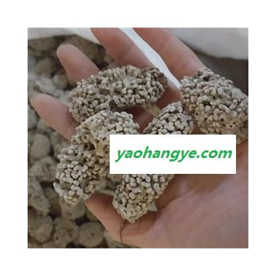 小丽百草行中药材海石花 石花 海浮石花 矿石大全