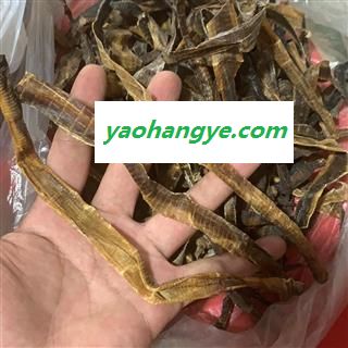 地龙 南阳市文远药业 精选大地龙  中开  产地 广西壮族自治区玉林市市辖区图1