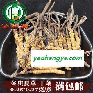 【满包邮】干虫草4000条 平均0.25~0.27克每条 散装产地直供冬虫夏草沁信源中药批发图1