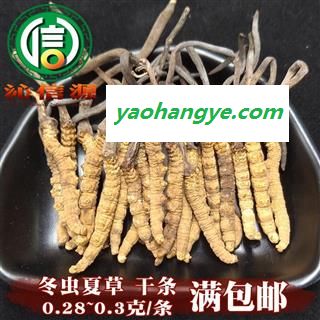 【满包邮】干虫草3500条 平均0.28~0.3克每条 散装产地直供冬虫夏草沁信源中药批发图1
