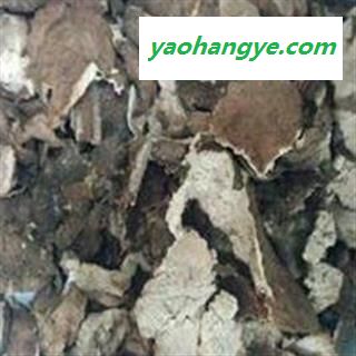 中药材 茯苓皮 正品 促销图1