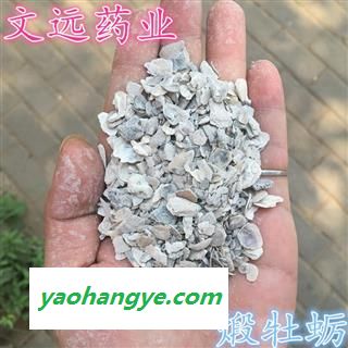 牡蛎 煅牡蛎  产地 山东省图1