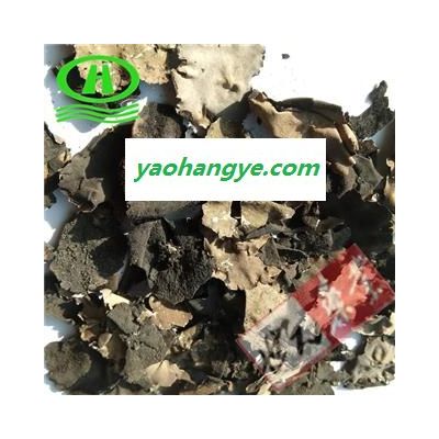 世元药业 石耳 正品 假货肉质薄 石木耳 岩菇 石壁花 地耳 优质