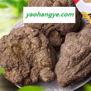 圣草康园中药材灵芝  虎乳灵芝 灵芝图1