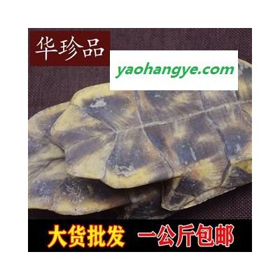 龟甲 03 巴西龟板 统 产地 福建省