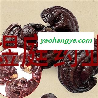 煜庭药业 紫灵芝 正品图1
