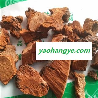 诺源药材行灵芝 松针层孔菌 东北灵芝图1