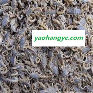 全蝎 山西陕西盐水全蝎秋货 产地 山西省图1