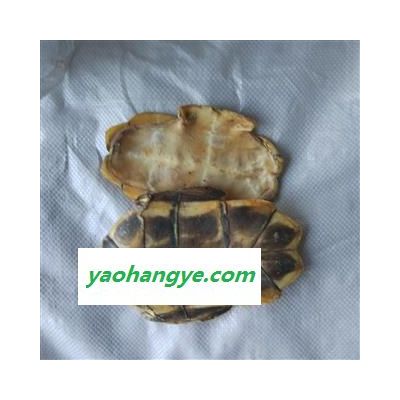 龟甲 水龟板 选 产地 广东省 国药堂 专注品质