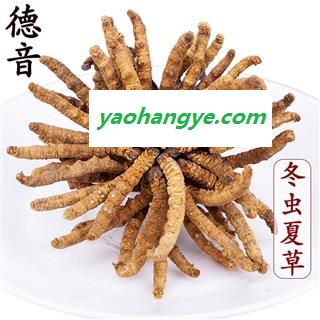 【满包邮】冬虫夏草4条/克 产地西藏那曲 中药材批发 规格齐全图1