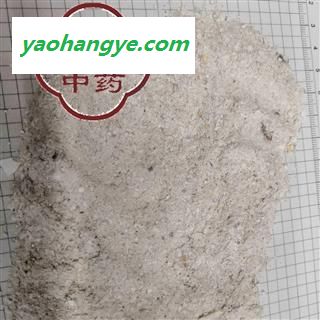 牡蛎   牡蛎粉 水洗粉 产地 广西壮族自治区【品种齐全 诚信经营】图1
