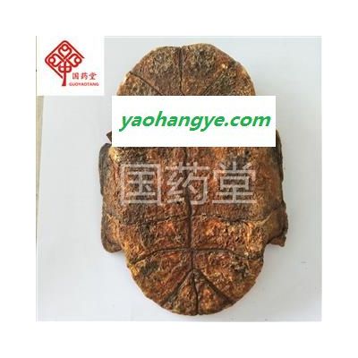 龟板 制龟板 统 国药堂 专注品质 产地 广东省