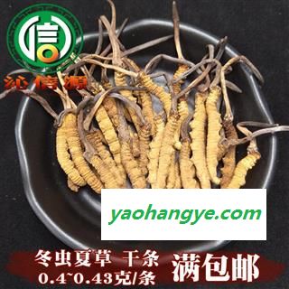 【满包邮】干虫草2500条 平均0.4~0.43克每条 散装产地直供冬虫夏草沁信源中药批发图1