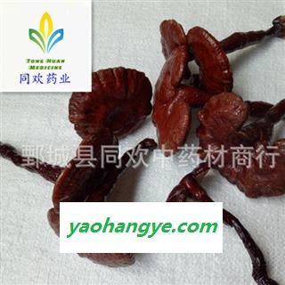 【木灵芝个】@【同欢药材】中药材批发供应  规格齐全 量大从优 产地 吉林省图1