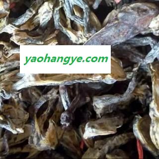 圣草康园干蟾 干蟾皮干蟾蜍 蟾蜍干 癞蛤蟆干  干蟾个图1