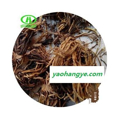 世元药业 藜芦 正品 力芦 山葱 葱苒 葱葵 丰芦 蕙葵 公苒 葱菼 梨卢 鹿葱 憨葱 葱芦 旱葱 毒药草 七厘丹