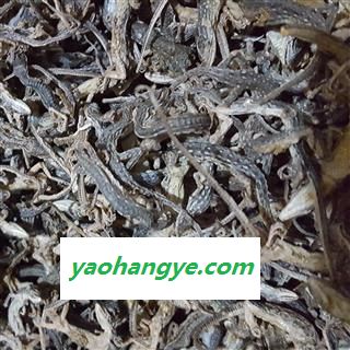 小丽百草行药材麻蜥蜴干货尖头蜥蜴 麻蜥另有圆头蜥蜴图1