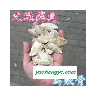 海螵蛸 乌贼骨 海螵蛸 小统货  产地 广西壮族自治区