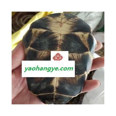 龟板 旱龟板 统 新货 产地 湖北省 国药堂 专注品质