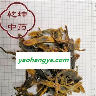 天龙  壁虎  统货，高含量 产地 海外【品种齐全 诚信经营】图1