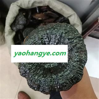 黑灵芝 实图拍照正品保证质量7天无理由退货退款 安品堂图1
