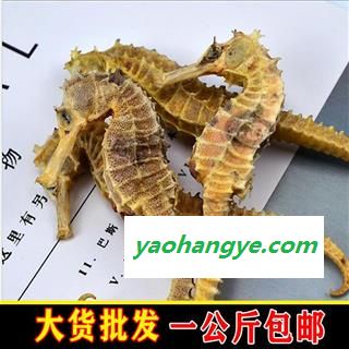 海马 05海马 统 2-3克 产地 福建省图1