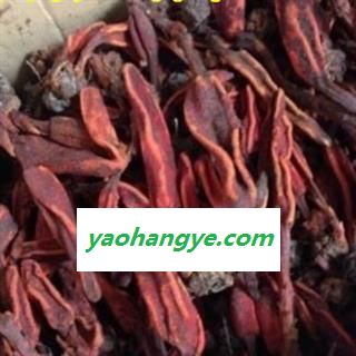 圣草康园菌灵芝 万生菌 回春草 草苁蓉图1
