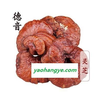 【满包邮】灵芝 统个 产地 吉林 买好货 选德音 正品溯源 规范标准 三证齐全 全品类药材一站购齐