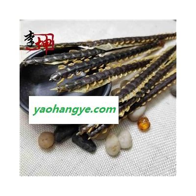 【99包邮】蜈蚣 大条14-15cm（25条）湖北产 过药检【良心经营 品种齐全】