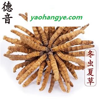 【满包邮】冬虫夏草2.5条/克 产地西藏那曲 中药材批发 规格齐全图1
