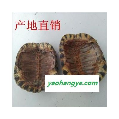龟甲 龟壳 巴西 统 产地 浙江省
