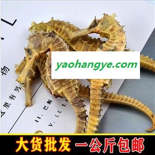 海马 06海马 统  5-6克 产地 安徽省图1