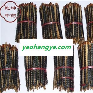 蜈蚣 蜈蚣中小条选货11-12cm    产地 湖北省【诚信经营 品种齐全】图1