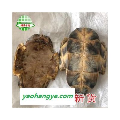 龟甲 正品 旱龟板 新货  产地 湖北省 买好药找娟子