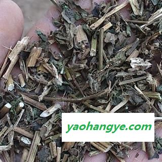 小丽百草行中药材 莽草 水莽草 披针叶茴香红毒茴 芒草 春草 石桂 红桂图1