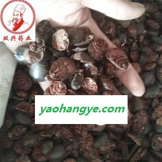 土元 土鳖虫选货 本店批发各种奇花异草以及各种名贵中药材，花茶，香料，根茎，果实种子类，全草类，花叶类，皮类，菌藻类，动物类，矿石类等 产地 山东省图1