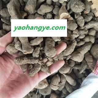 三叶青1000克促销批发三叶青统货 产地 江西省图1