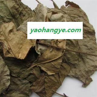 中药材  黄皮叶好统货图1
