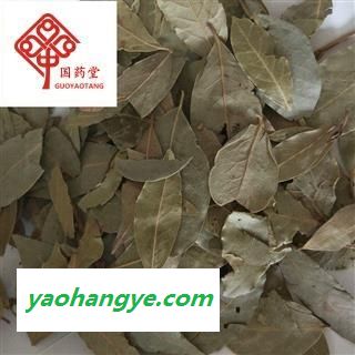 香叶 统 产地 广西壮族自治区 国药堂 专注品质图1