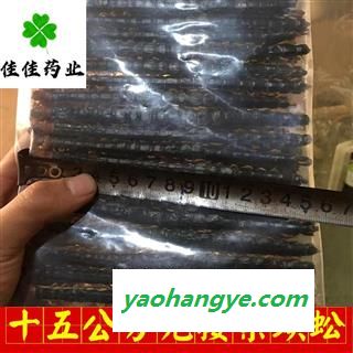 蜈蚣 蜈蚣大条精选货15-16cm 不带接条 个头匀称 产地 湖北省 专注高品质中药材图1