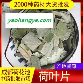 【99包邮】荷叶 选片 方块 色青 可茶用【良心经营 品种齐全】